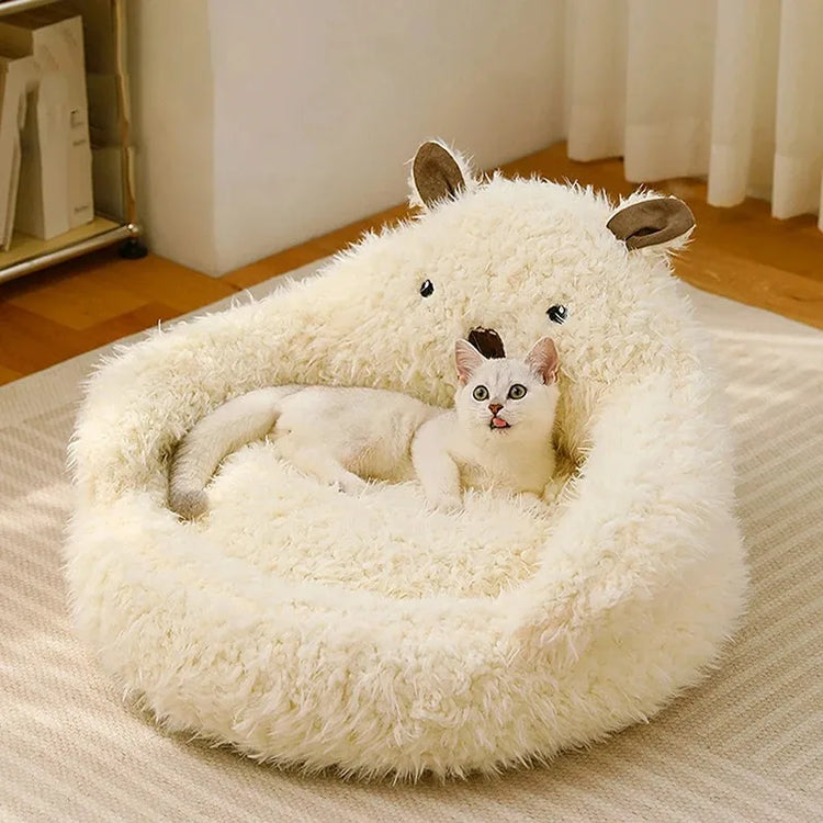 Pet bed