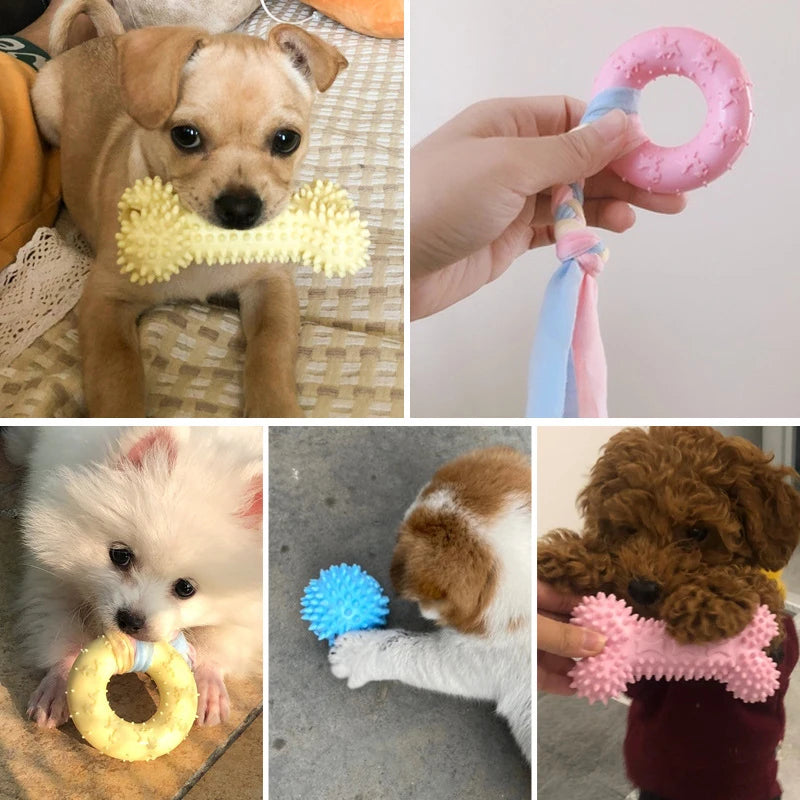 ToughChew™ TPR Dog Chew Toy – Durable Dental Toy for Small Dogs