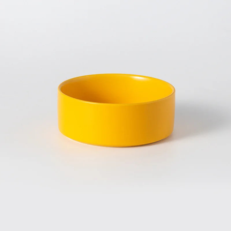 Elevated Double Pet Bowl – Ergonomic Food & Water Feeder for Cats & Dogs