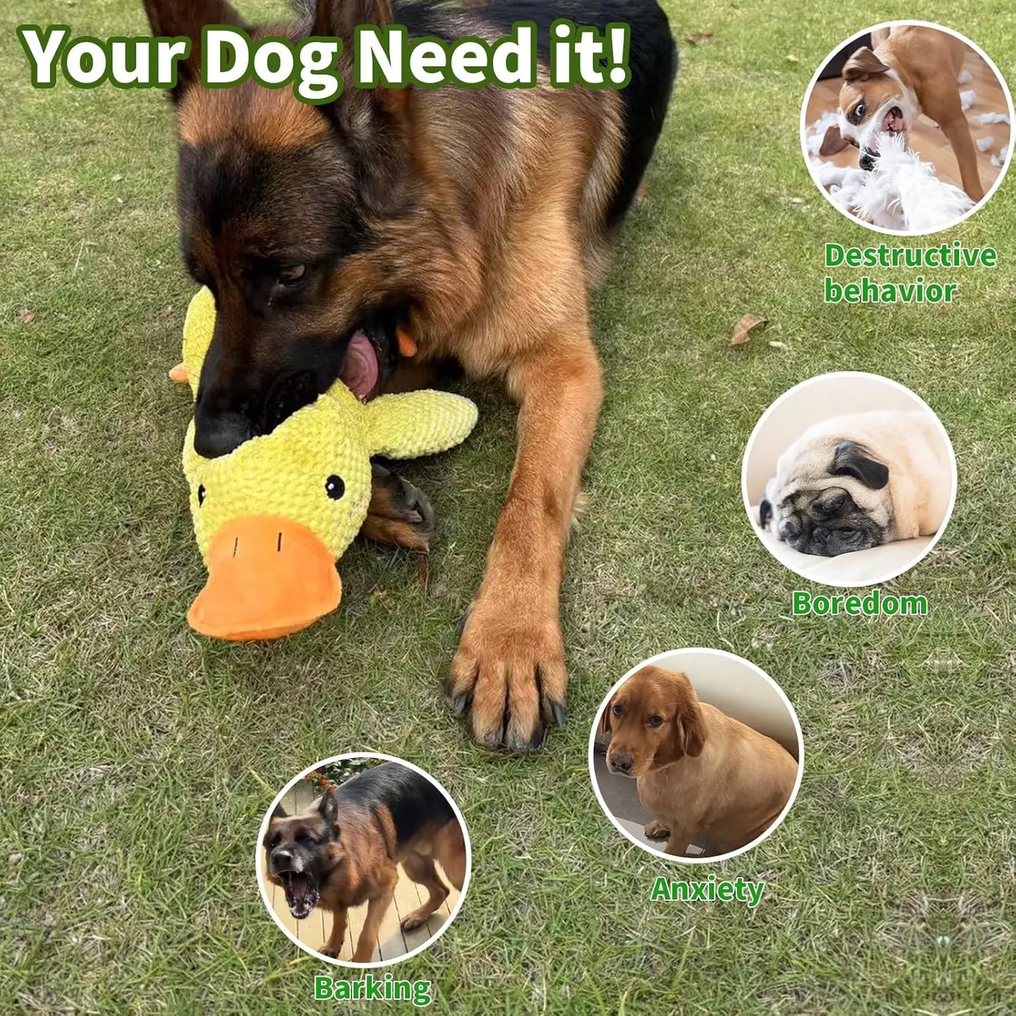 QuackBuddy™ Plush Duck Dog Toy – Squeaky Durable Chew Toy for Dogs