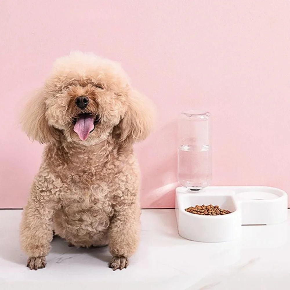 500ml Automatic Gravity Pet Feeder — Food & Water Bowl for Cats and Dogs