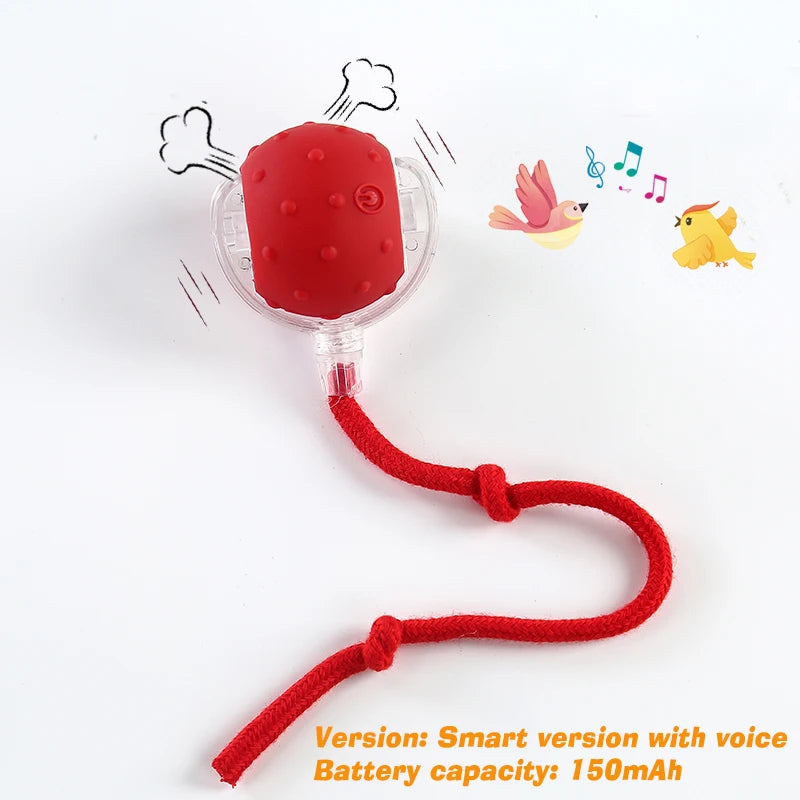 SmartRoll™ Interactive Dog Ball – Automatic Rechargeable Rolling Toy